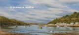 Evening Light, Lower Fishguard 